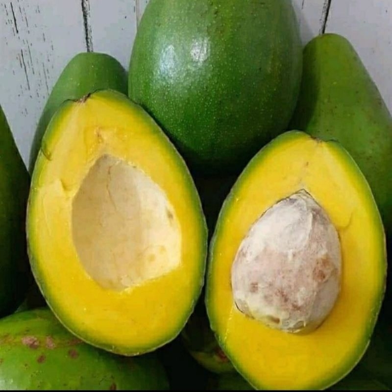 

Alpukat Mentega 1kg isi 3