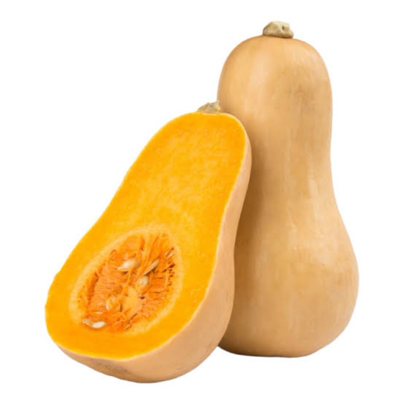 

LABU MENTEGA PUMKIN BUTTERNUTEN