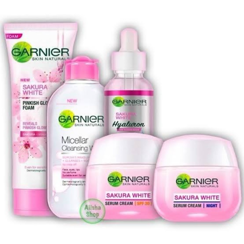 garnier 1 paket usaha