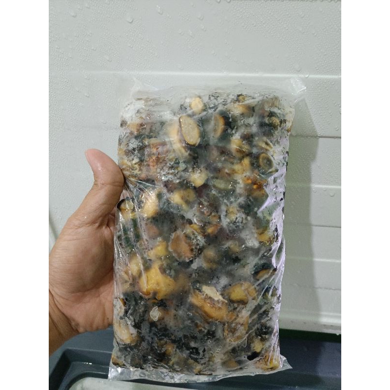 

Kerang Kol sawah 500 gr (Murah dan praktis)