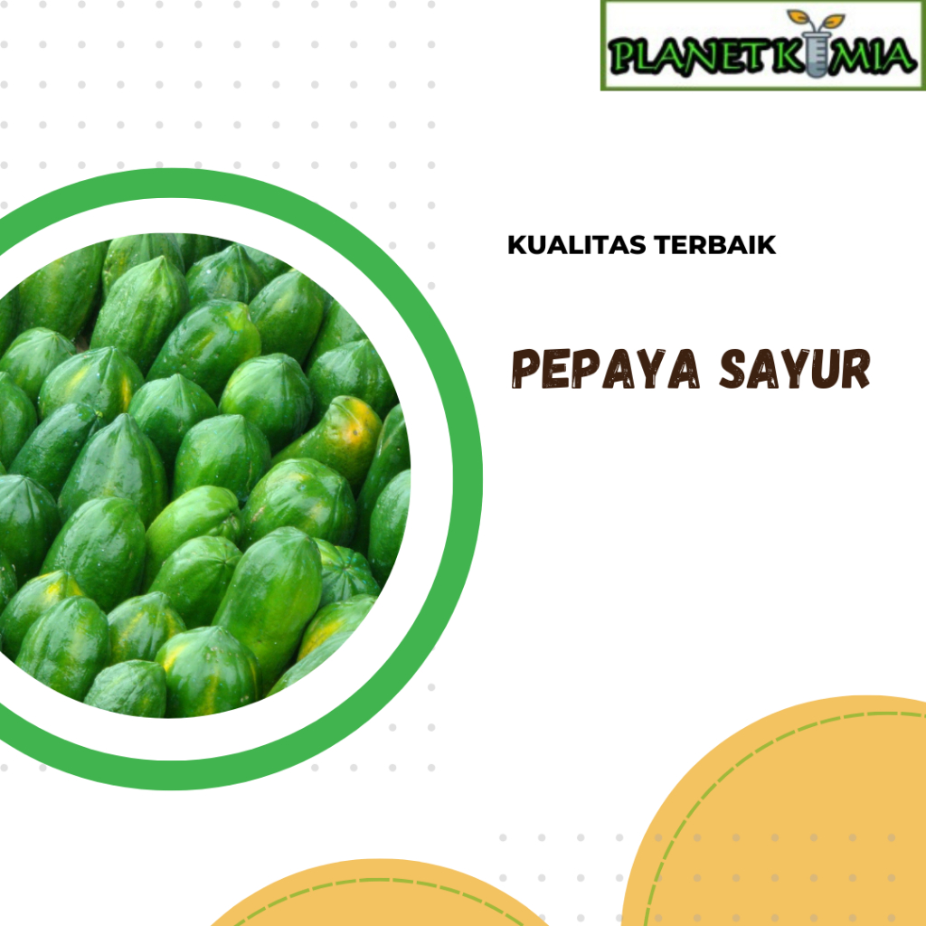 

dried,serbuk buah pepaya sayur best product