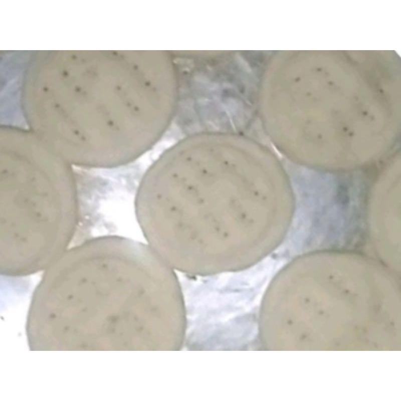 

PIZZA BASE 200 PCS UKURAN 8 CM(PESAN PAGI DI KIRIM SORE)