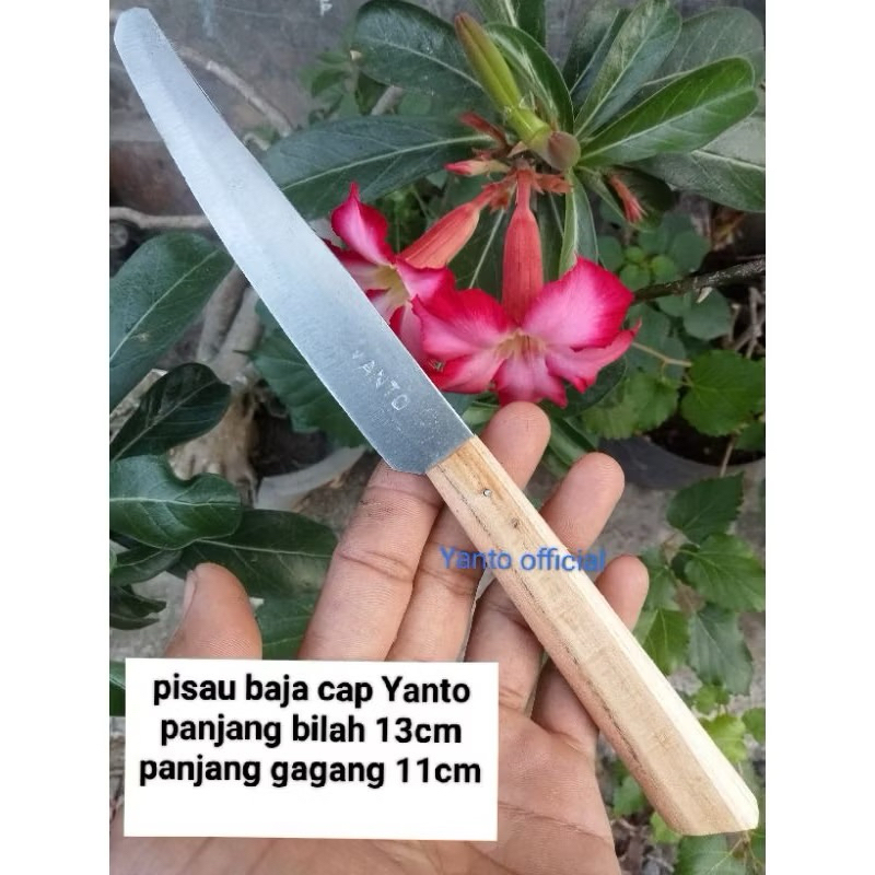 Pisau dapur baja tajam tebal pisau dapur