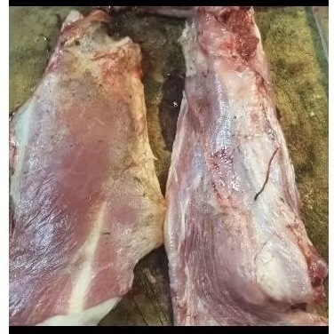 

leher kambing muda