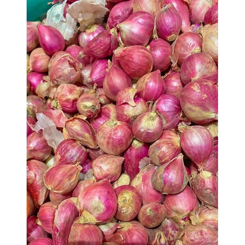 

Bawang Merah Ukuran Besar 500gr