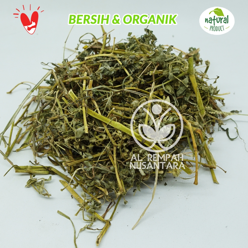 

Tribulus Kering 1kg Cacah Asli dan Organik
