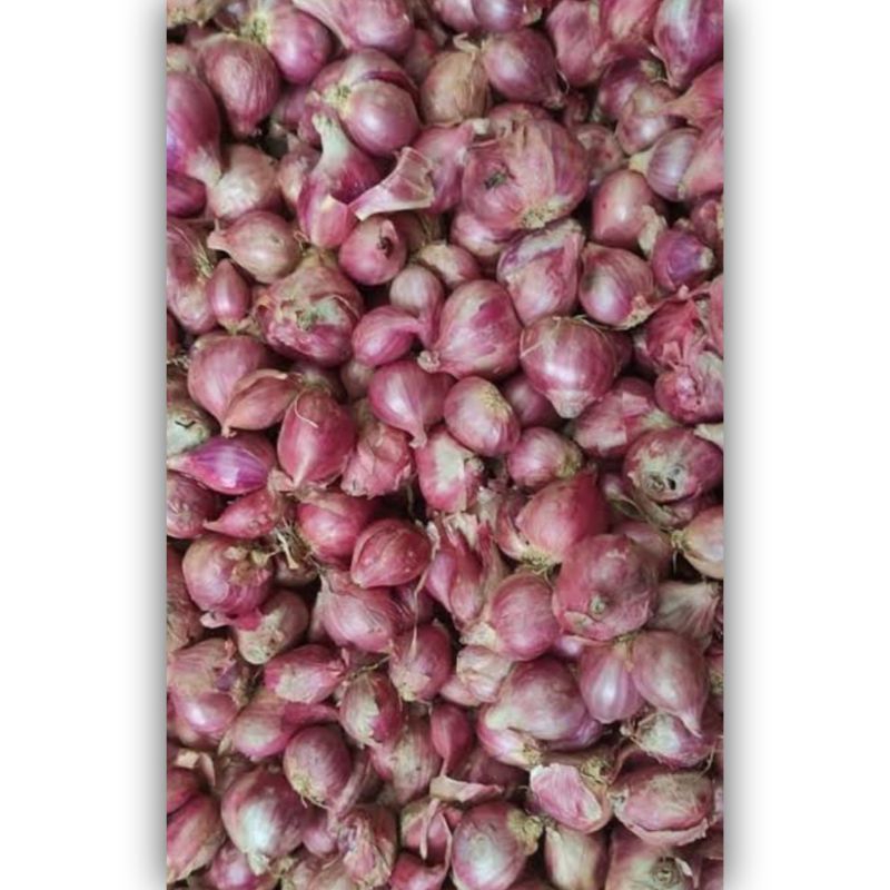 

Bawang Merah Kulit Paket Hemat [Kemasan Wrap]