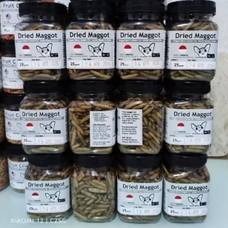 Dried Maggot BSF / Maggot Kering BSF 25 gram