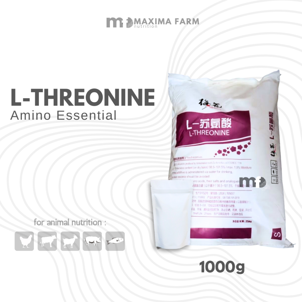 L THREONINE 1 KG MEIHUA UNGU - Threonine Asam Amino ternak 1 kg - L threonin - Asam amino untuk ungg