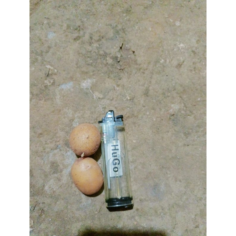 

g0#nonlabel#granolaL