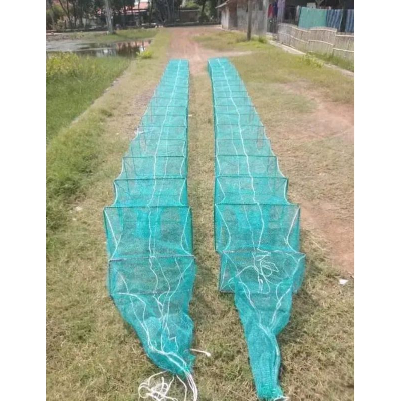 SN Bubu Naga Hijau 10Meter