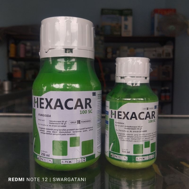 FUNGISIDA SISTEMIK UNTUK PATEK DAN HAWAR HEXACAR 100 SC