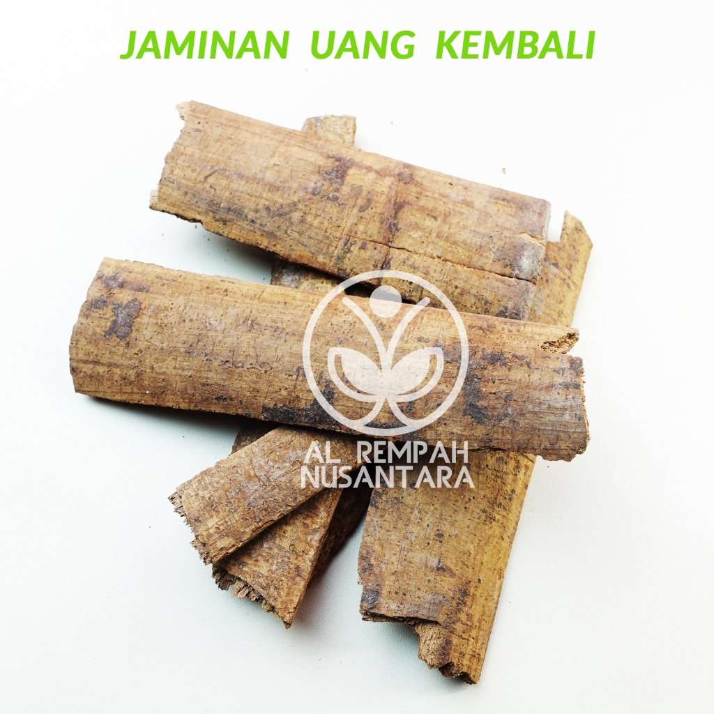 

Kulit Mesoyi 250gr Kering - Kualitas Terjamin