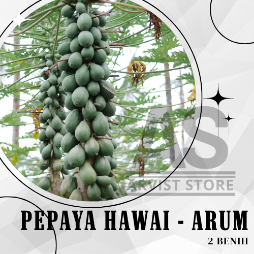 2 Butir - Pepaya Hawai ARUM Tunas Agro Seed