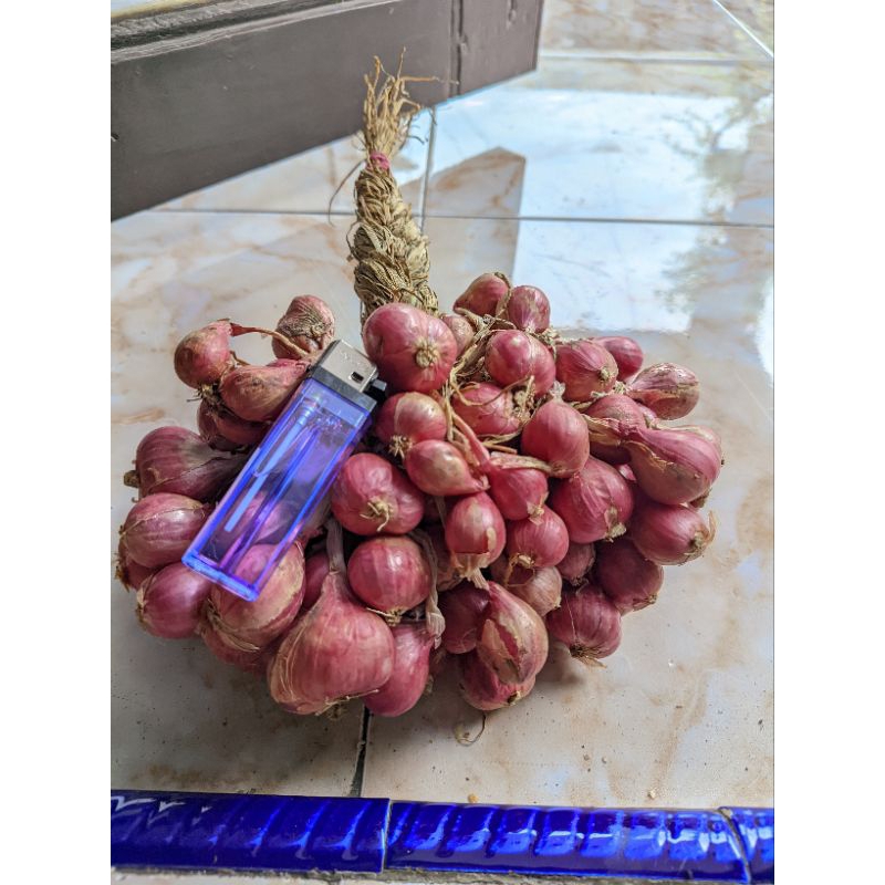 

Bawang merah tanggung campur 1kg kering