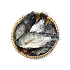 

Ikan Nila 250gr Fresh dan Segar Premium Instan Surabaya