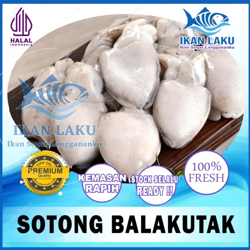 

CUMI | SOTONG | BALAKUTAK PREMIUM FRESH TERMURAH BERGARANSI IKAN LAKU IKAN SEGAR IKAN BEKU