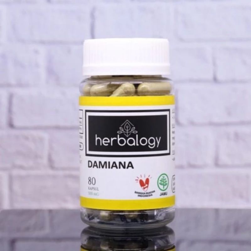 

HERBALOGY - Damiana ( Panik, Cemas, Bipolar, Anxiety, Mood swing ) obat herbal jamu suplemen kapsul 11