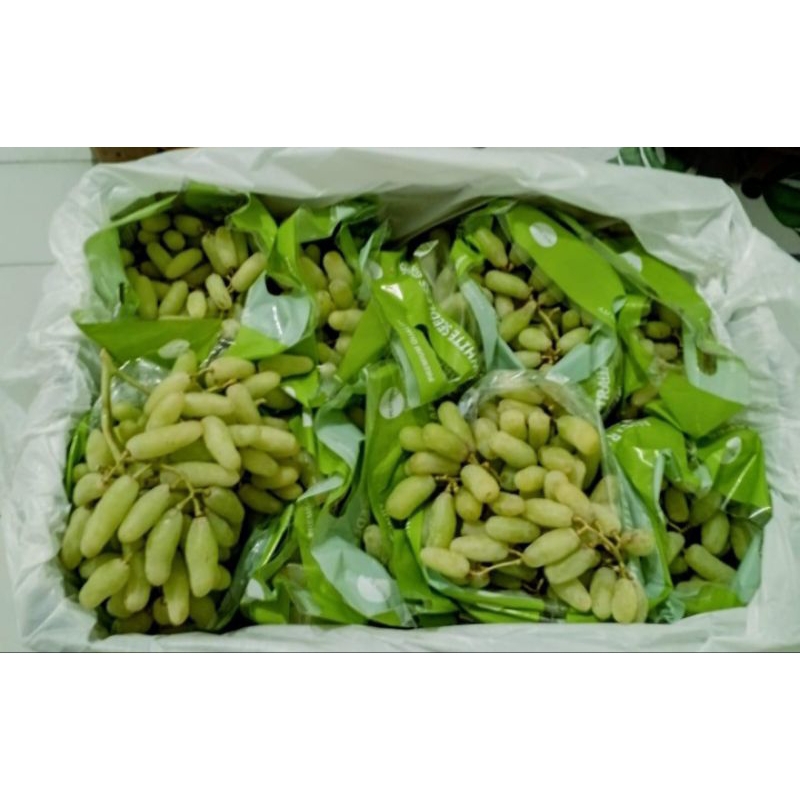 

ANGGUR JARI HIJAU SAPHIRE HIJAU FRESH