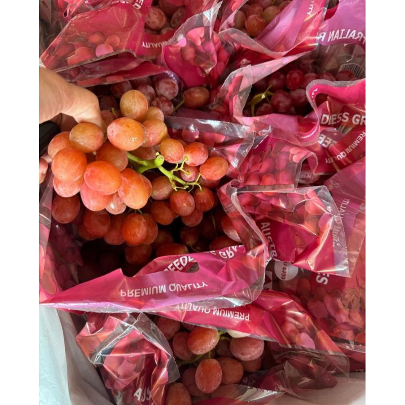 

ANGGUR RED AUSI FRESH SEGEEEER