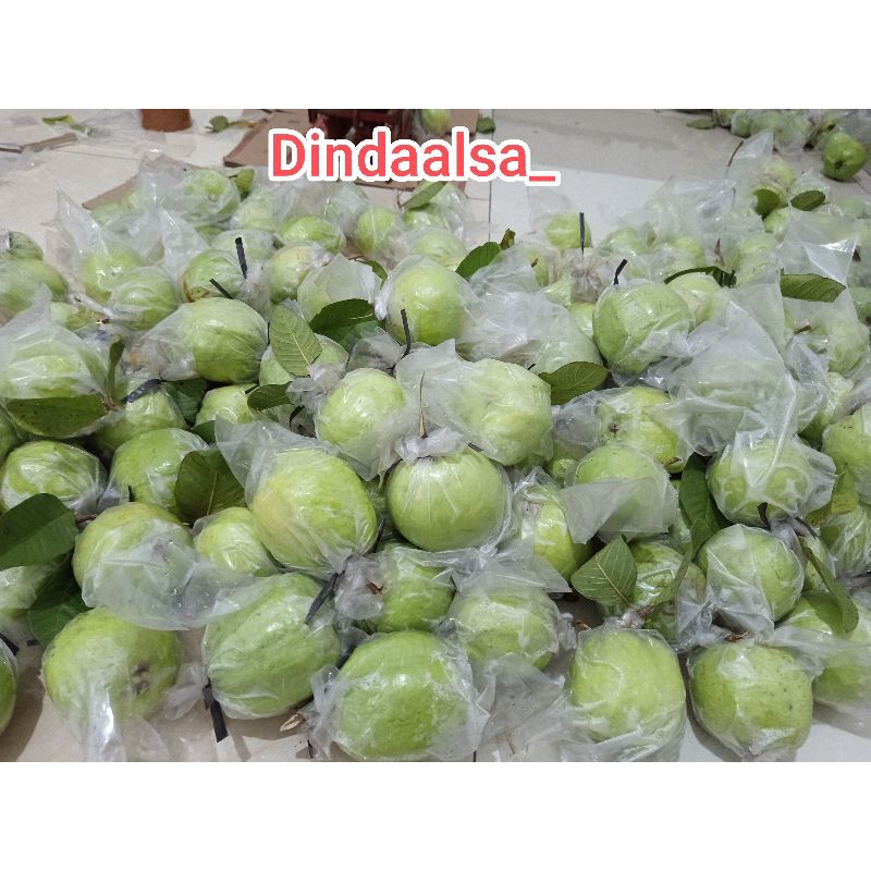

jambu kristal fresh 10 kg