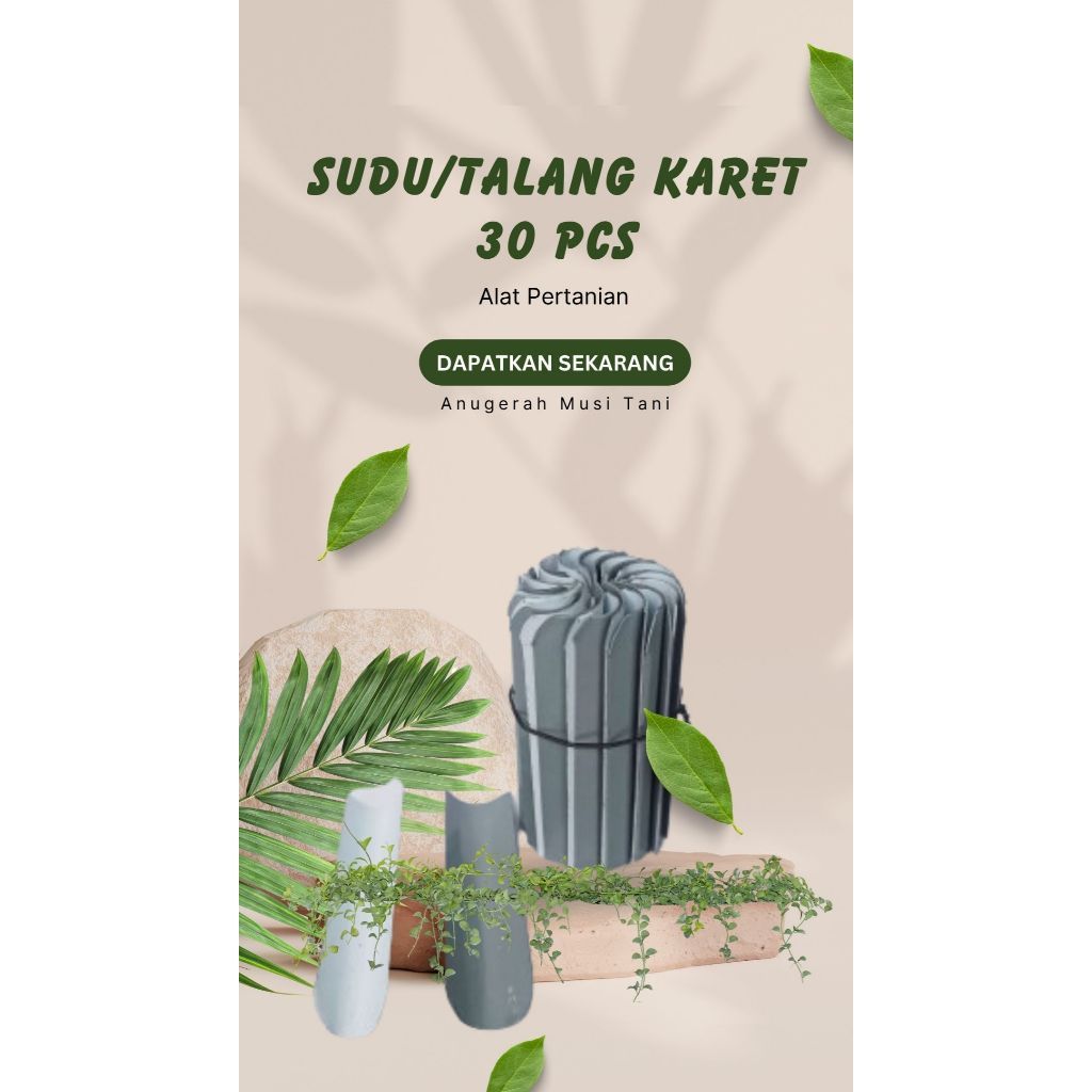 Sudu Talang Sadap Getah Karet / Ikat (30 Pcs) - Alat Pertanian