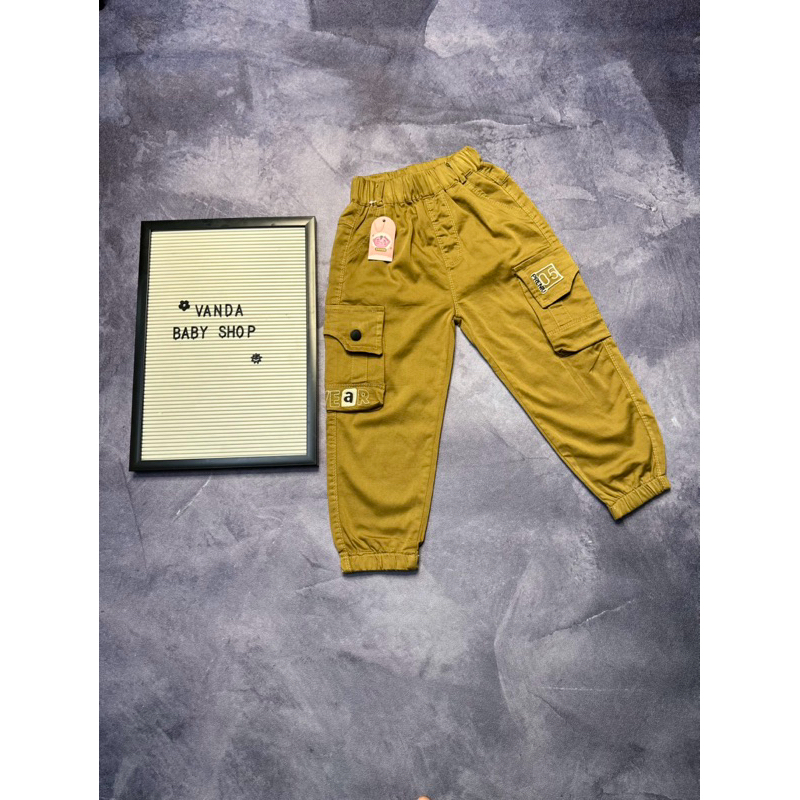 CELANA CARGO ANAK TANGGUNG COWO