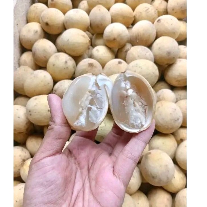 Duku palembang super 1kg
