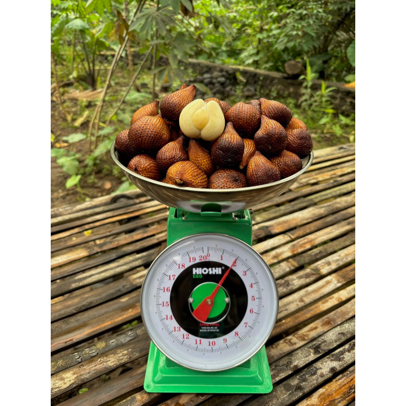 

Salak Gula Pasir Asli Bali (1Kg)