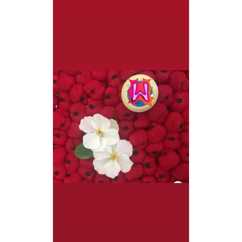 Krim Pagi Klinik Cantik BARATAJAYA SURABAYA