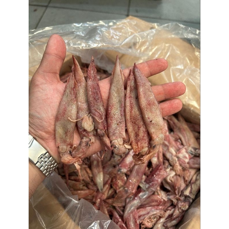 

Cumi Asin Jarum Kering Size Kecil