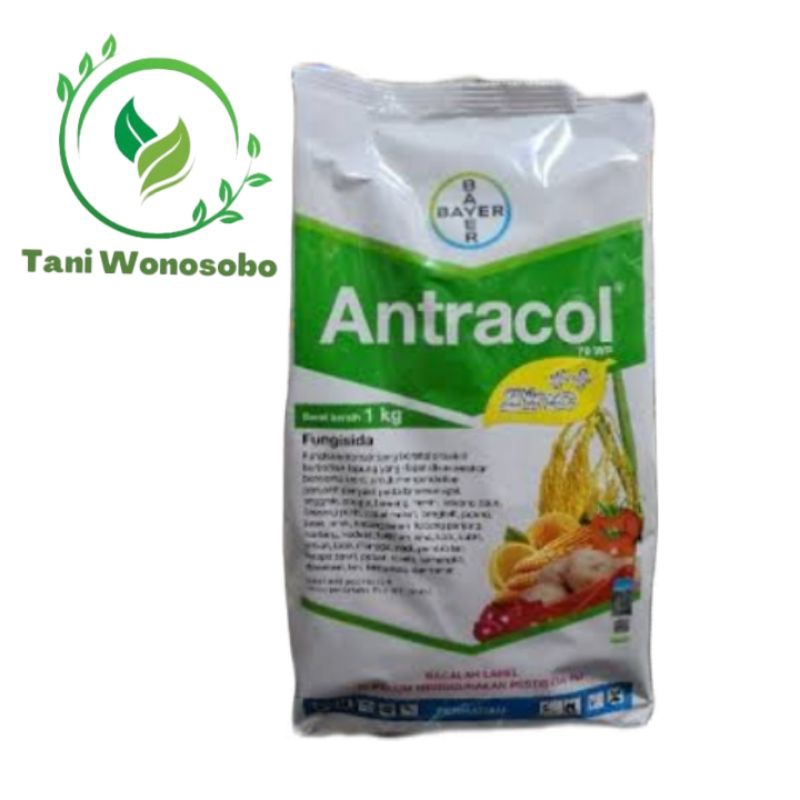 FUNGISIDA ANTRACOL 1KG