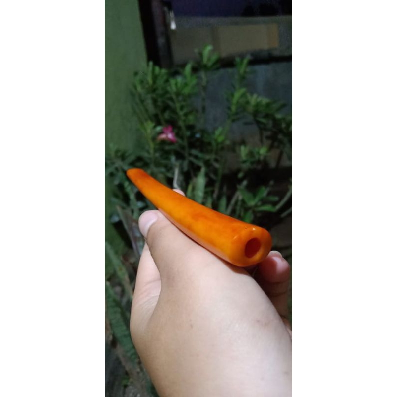 pipa pipo once tulang sapi import lawasan super