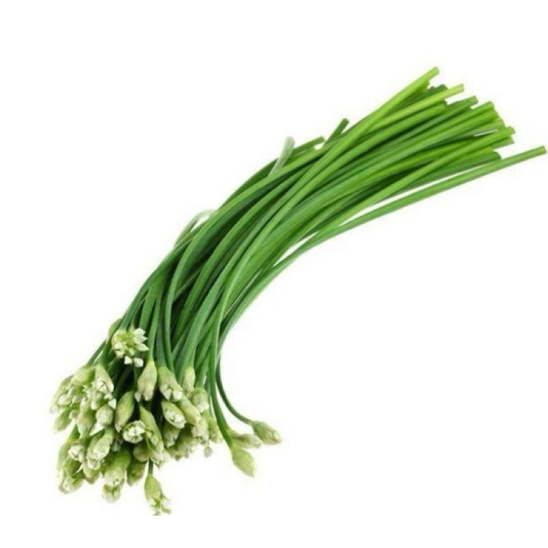 

Bunga / Kembang Bawang Kucai - 500gram