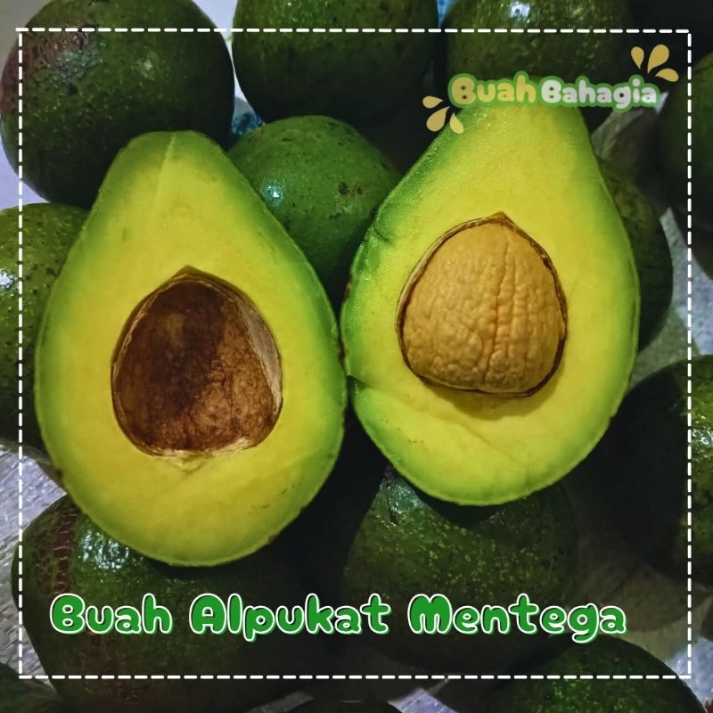 

BUAH ALPUKAT MENTEGA BEST SELLER 1KG
