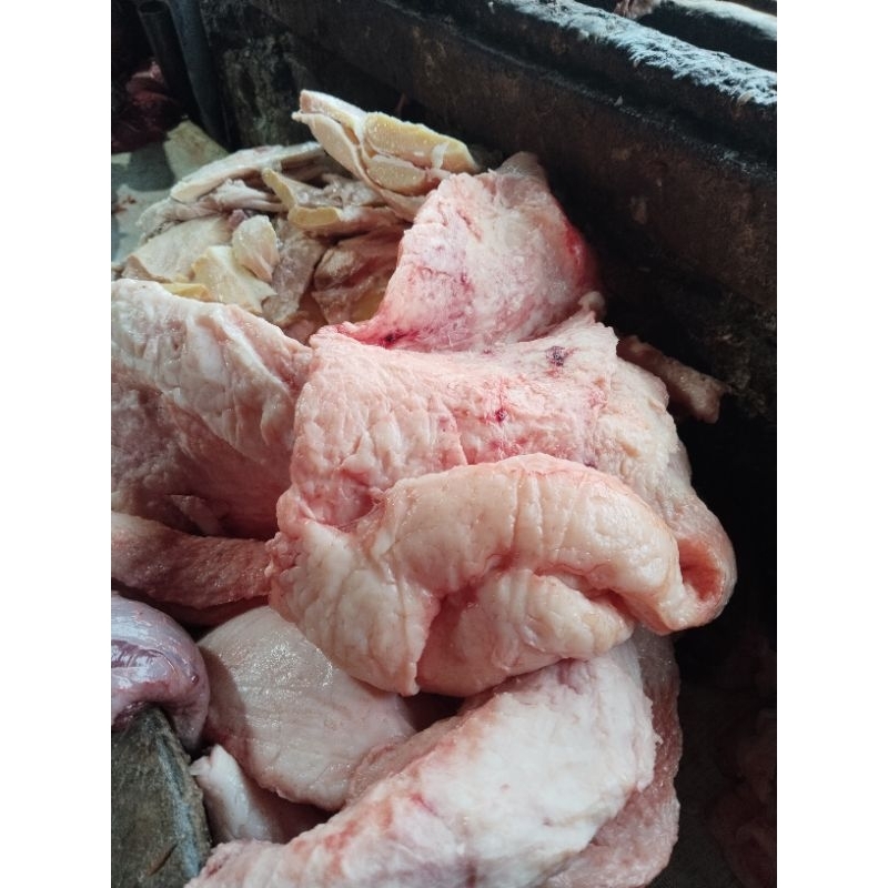 

Kapur/Lemak Sapi