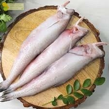 

Ikan Lome Ikan Lumek Segar 1Kg