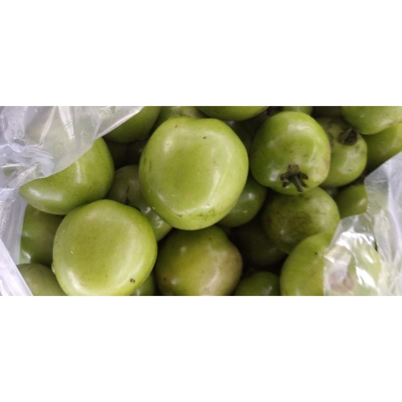 

Buah Tomat IJO Hijau segar