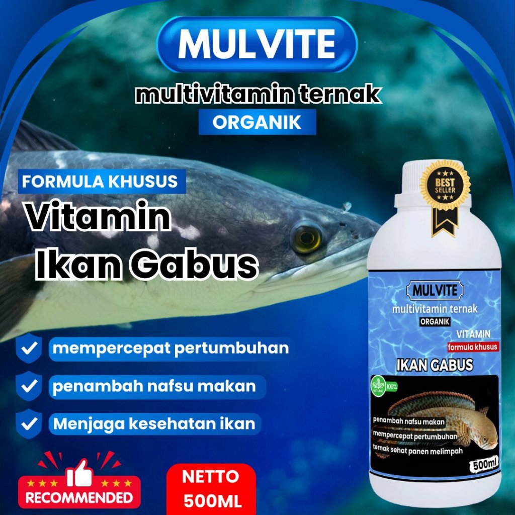 MULVITE IKAN GABUS, VITAMIN Ikan Gabus agar cepat besar 100 ml probiotik pemacu pertumbuhan ikan gab