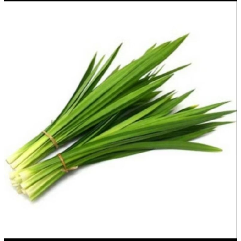 

daun pandan wangi fres 1 ikat /10-15 lembar
