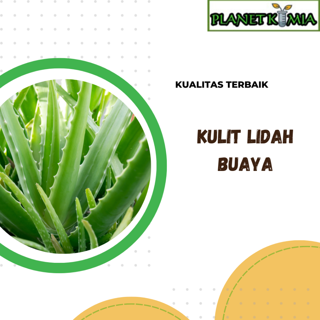

dried,serbuk kulit lidah buaya