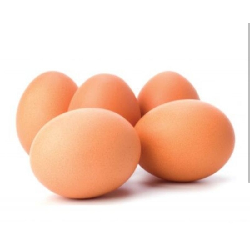 

TELUR AYAM 1KG