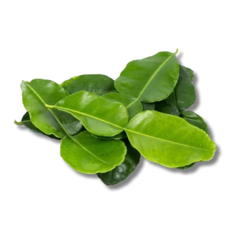 

Kirim Instant Daun Jeruk Konvensional 10 gram