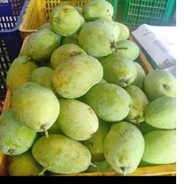 

MANGGA MUDA KAMPUNG 1Kg