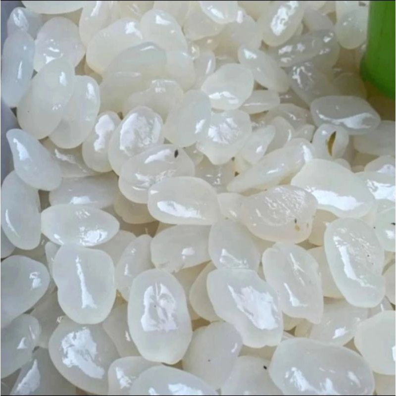 

KOLANG KALING CARULUK MUDA UKURAN KECIL 1KG