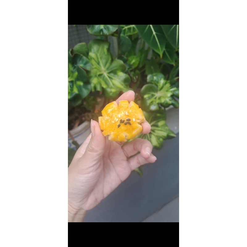 

Cookies Chui Kao So Kue Kering Biskuit