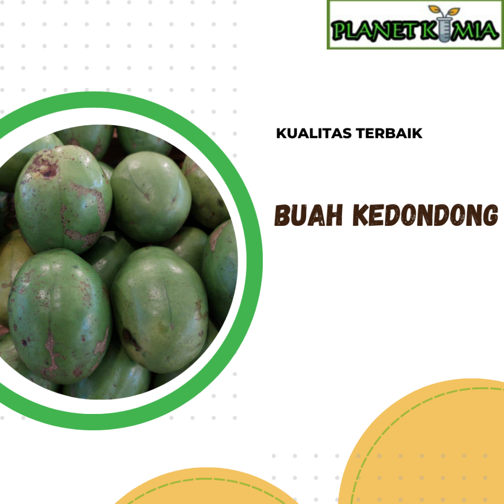 

ekstrak buah kedondong best product