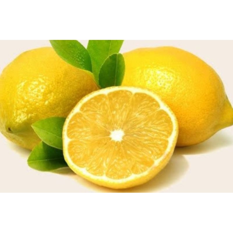 

lemon segar