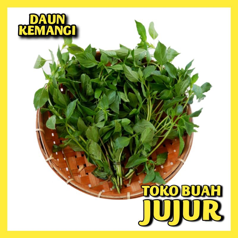 

DAUN KEMANGI FRESH