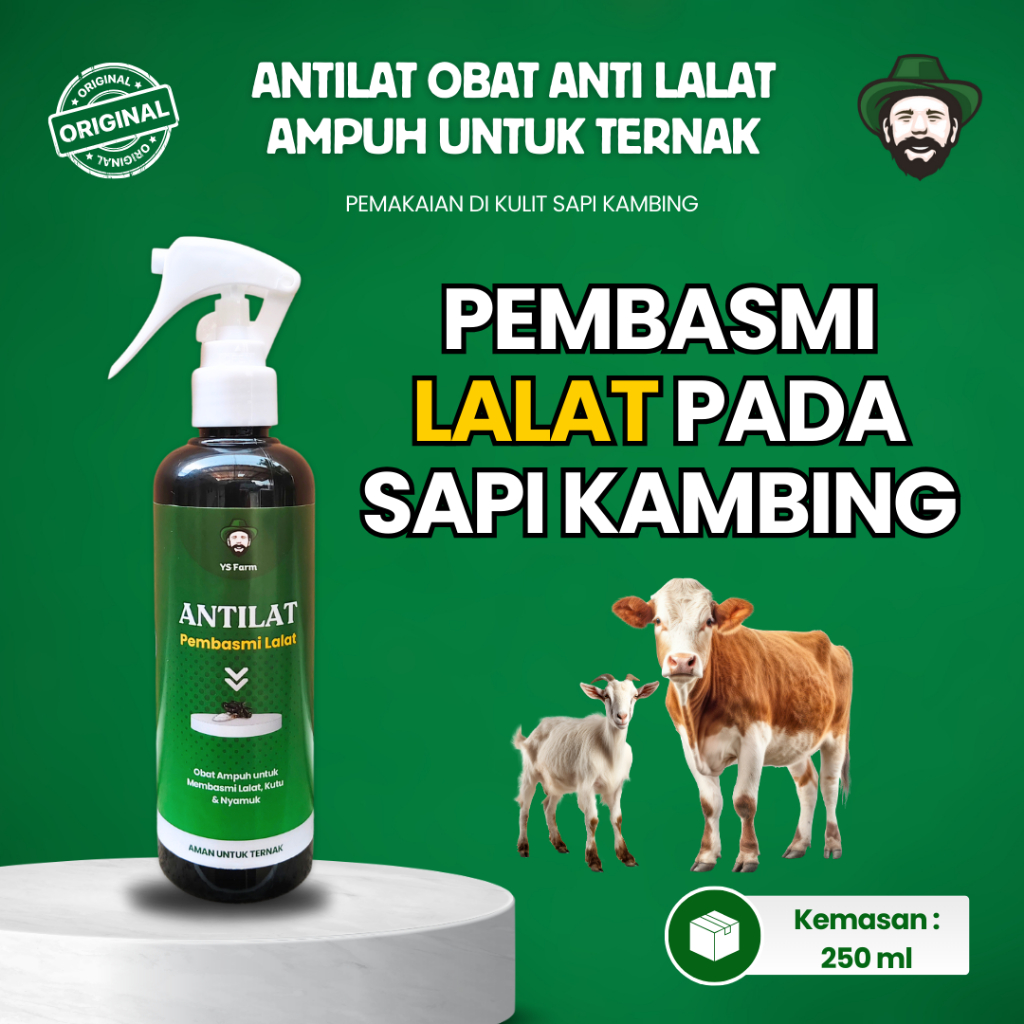 Obat Pembasmi Lalat Pada Sapi Kambing Obat Lalat Sapi Luka Cepat Kering